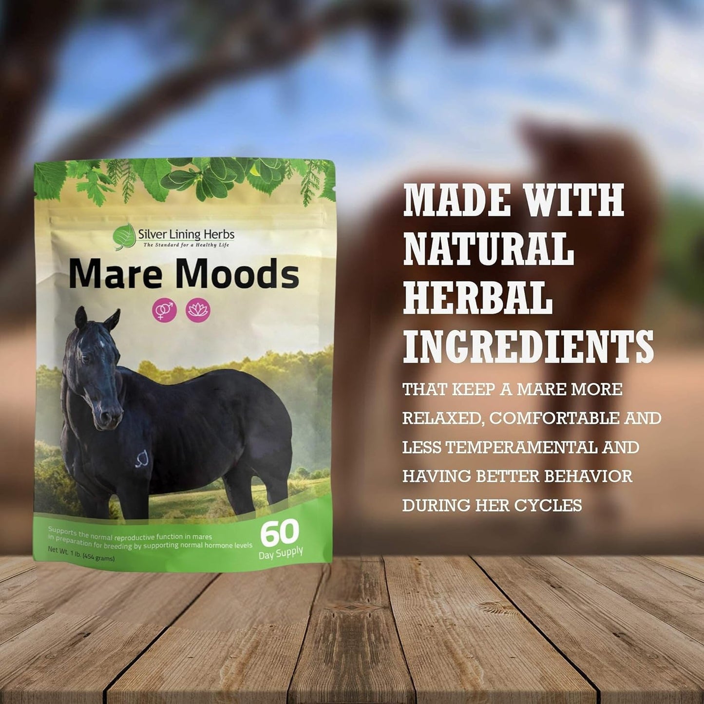 Silver Lining Herbs MARE Moods 1LB - Natural Herbal Supplement for Balanced Mare Hormones