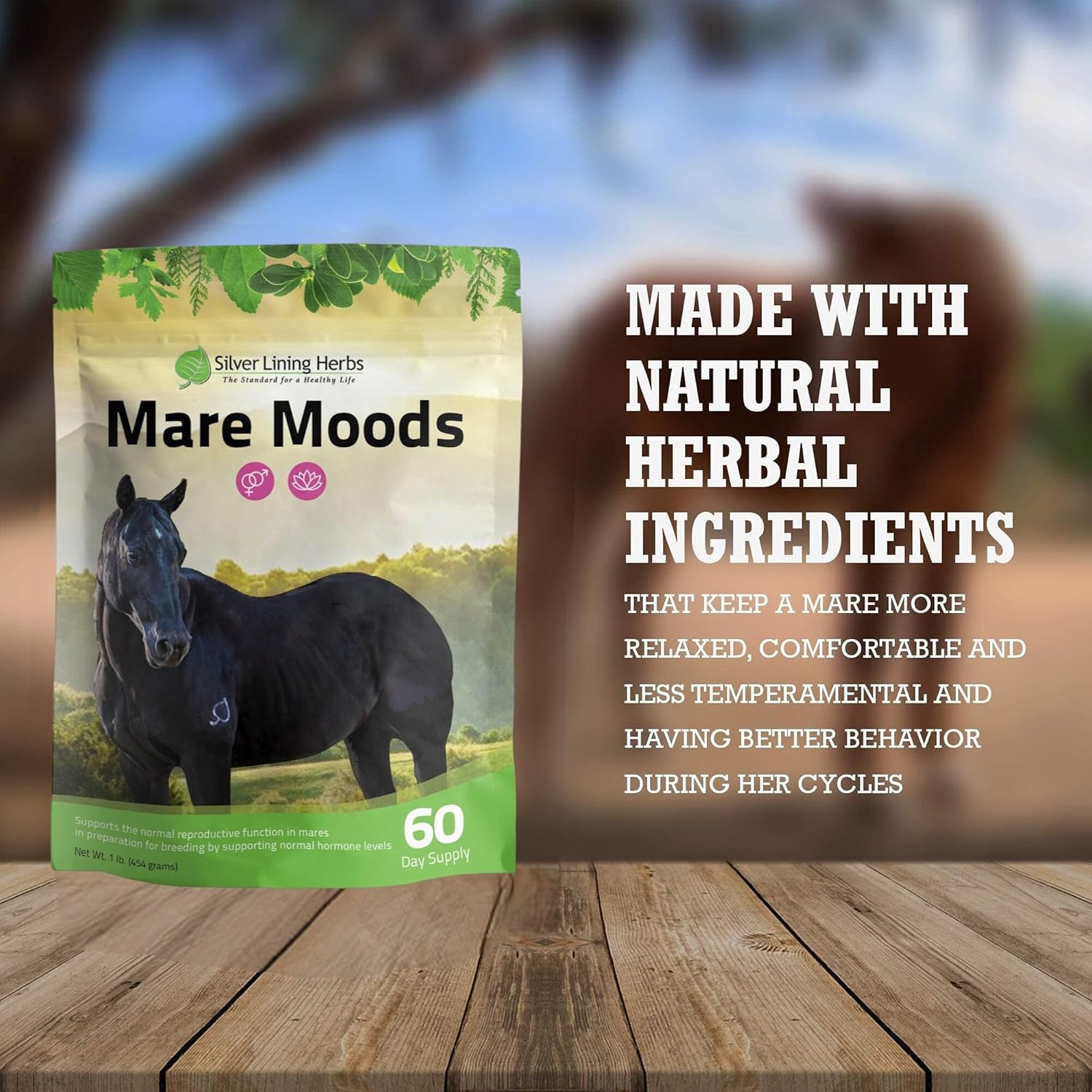 Silver Lining Herbs MARE Moods 1LB - Natural Herbal Supplement for Balanced Mare Hormones
