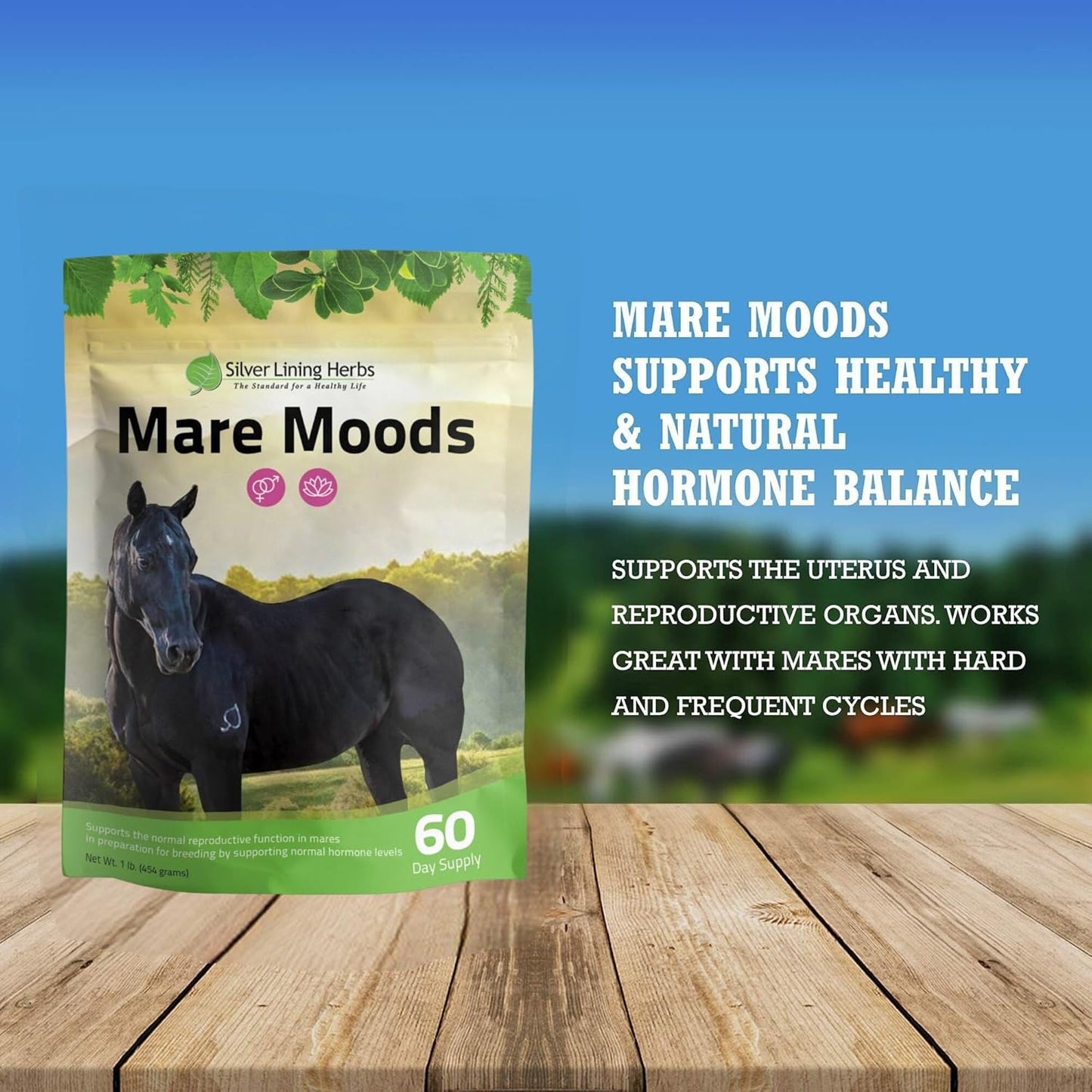Silver Lining Herbs MARE Moods 1LB - Natural Herbal Supplement for Balanced Mare Hormones