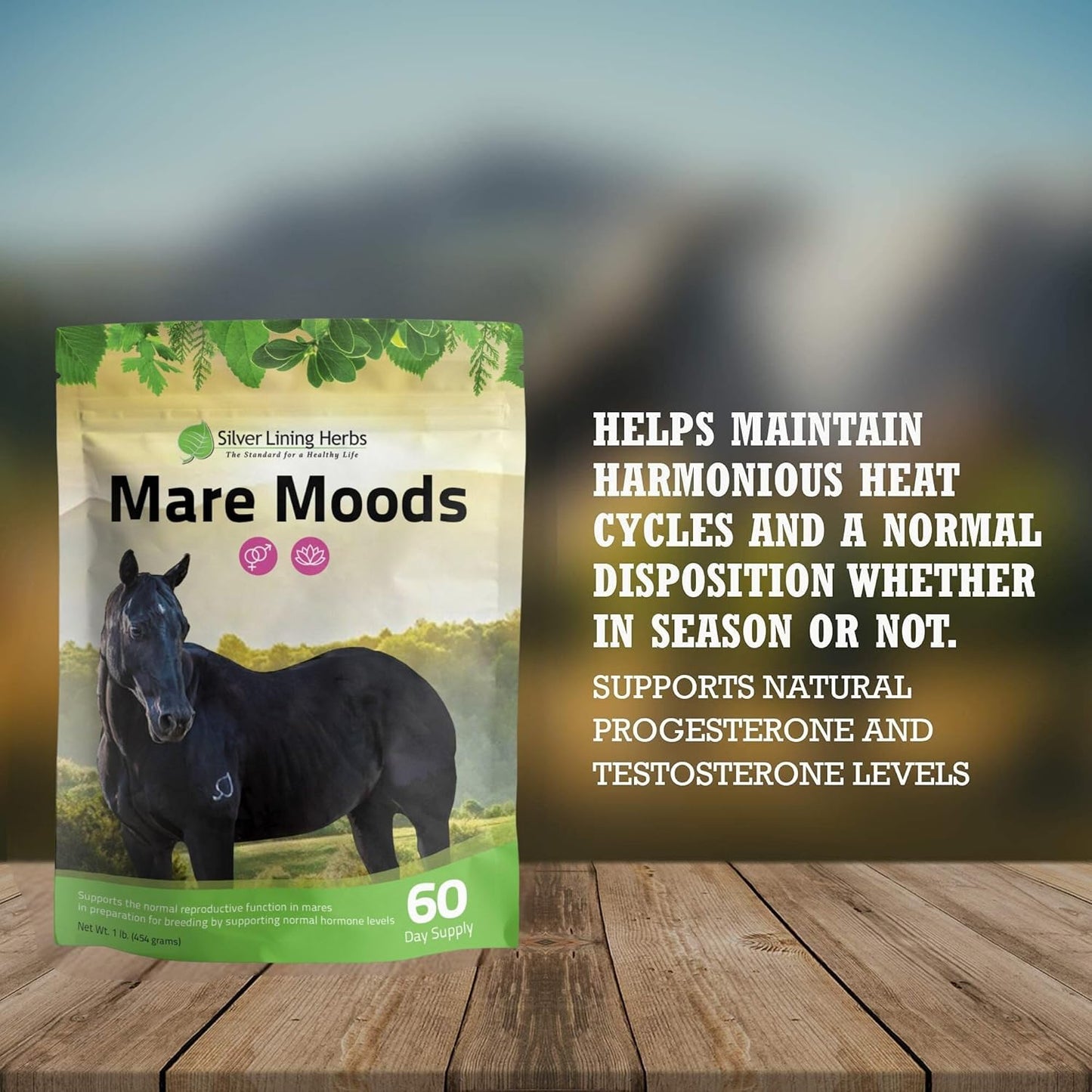 Silver Lining Herbs MARE Moods 1LB - Natural Herbal Supplement for Balanced Mare Hormones