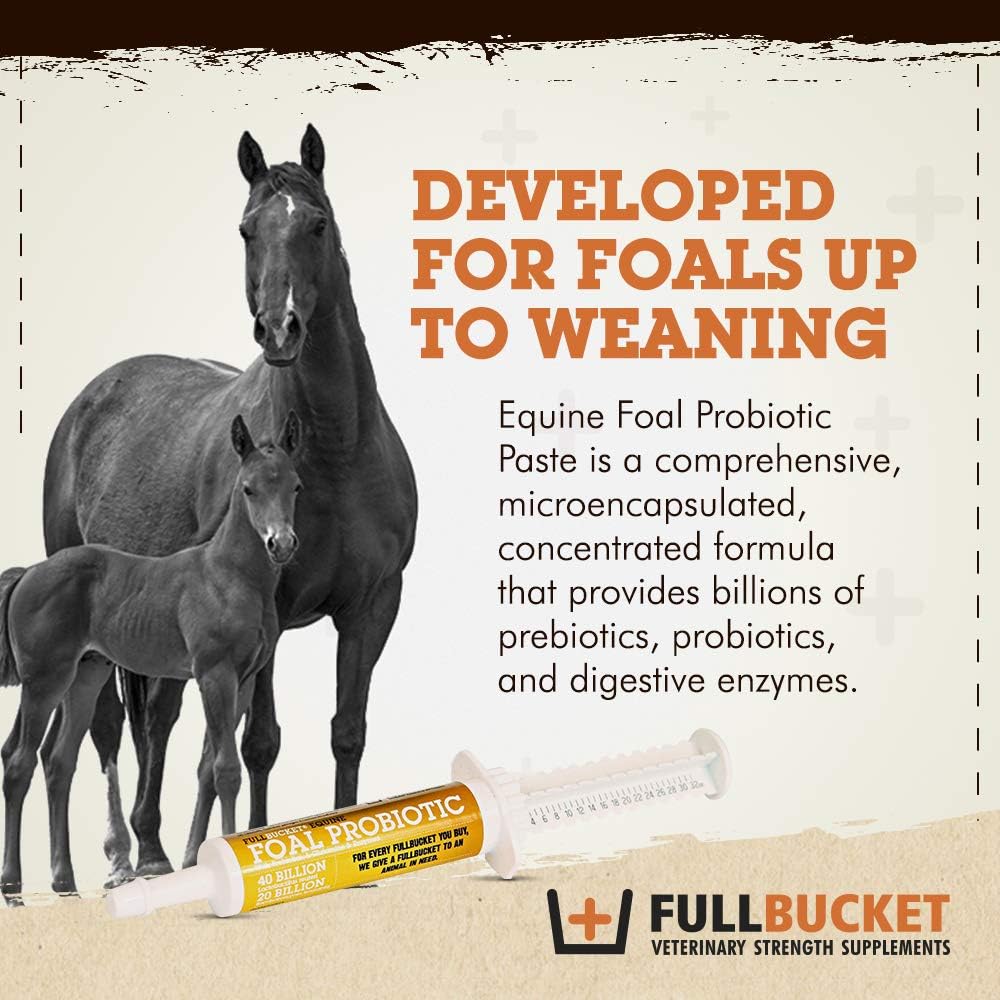 Single FullBucket Foal Probiotic Paste - Supports Digestive Health in Young Horses