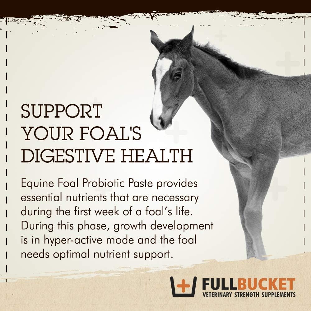 Single FullBucket Foal Probiotic Paste - Supports Digestive Health in Young Horses