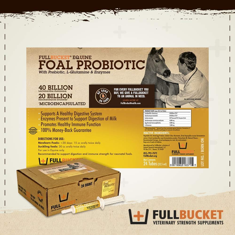 Single FullBucket Foal Probiotic Paste - Supports Digestive Health in Young Horses