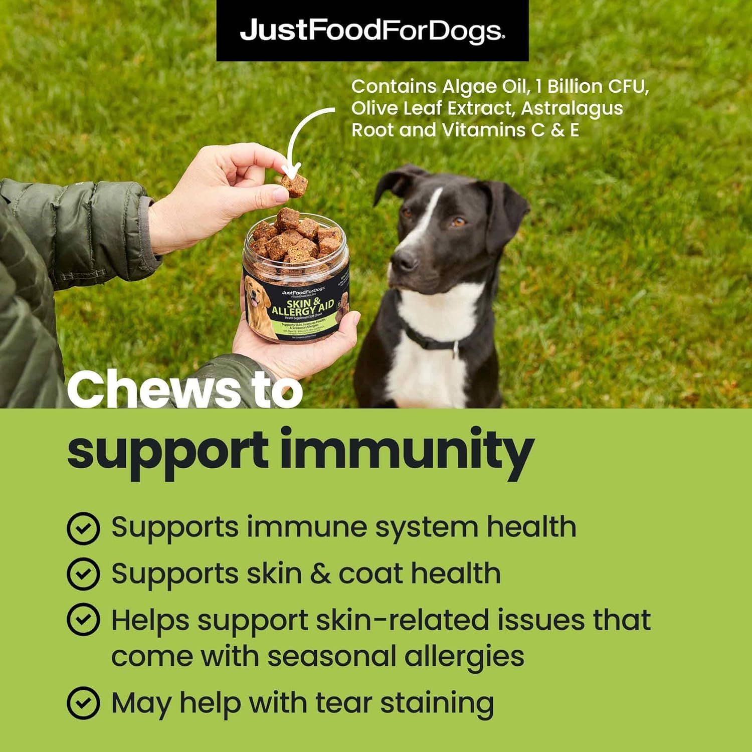 Skin & Allergy Care Soft Chews Supplement for Dogs - 45 Count, Supports Seasonal Allergies, Itchy Skin, Inflammation & Immune Health