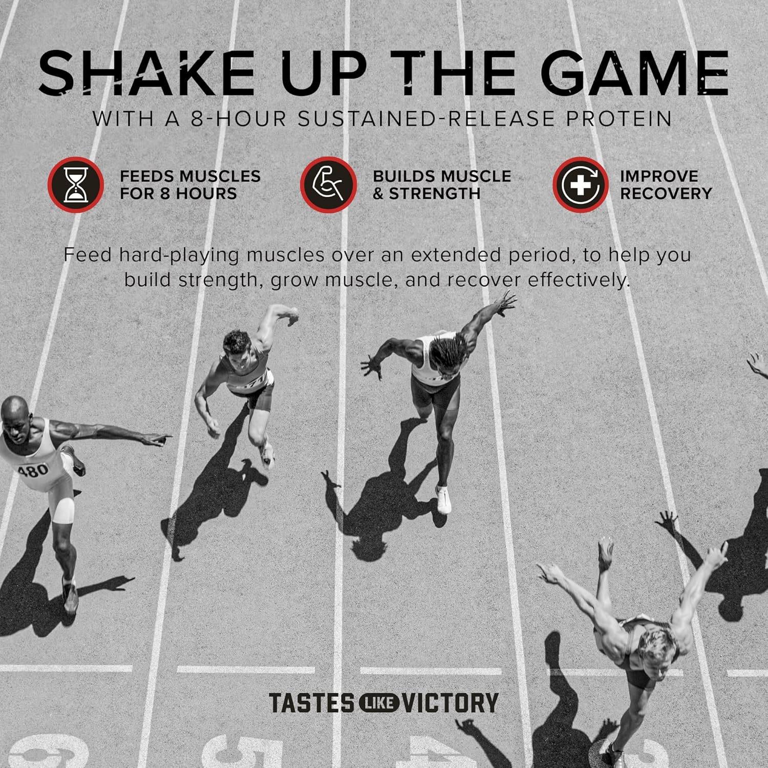 Slow-Digesting Triple Chocolate Casein Protein Powder for Muscle Gain, 2 lbs