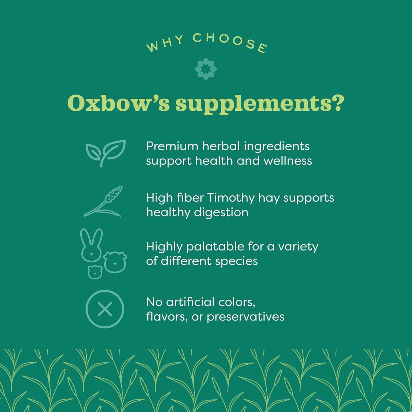 Small Animal Multivitamin with Essential Vitamins, Omega 3 & 6 Fatty Acids - 4.2 oz.
