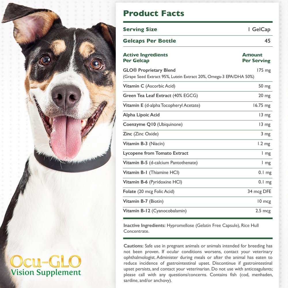 Small Dog Eye Health Supplement with Lutein, Omega-3, Grape Seed Extract & Antioxidants, 45 Liquid Gelcaps