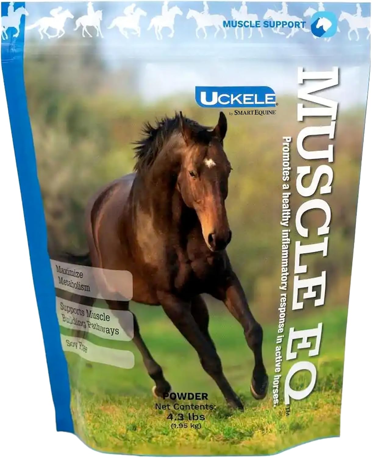 SmartEquine Muscle EQ™ Powder with L-Carnitine & Beta-Alanine for Horses | Supports Muscle Function & Recovery | 4.3 lb Bag