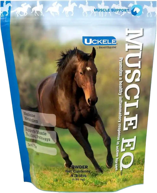 SmartEquine Muscle EQ™ Powder with L-Carnitine & Beta-Alanine for Horses | Supports Muscle Function & Recovery | 4.3 lb Bag