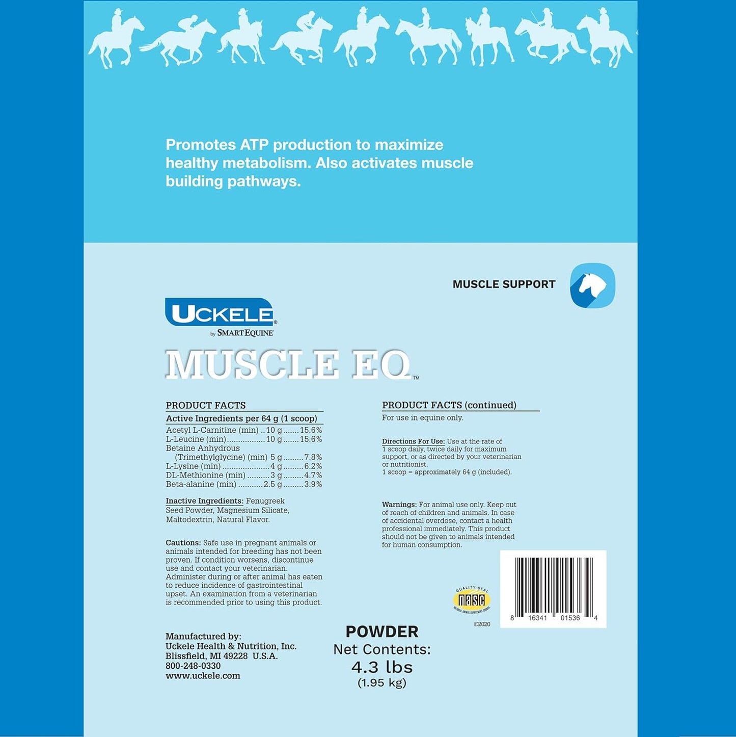 SmartEquine Muscle EQ™ Powder with L-Carnitine & Beta-Alanine for Horses | Supports Muscle Function & Recovery | 4.3 lb Bag