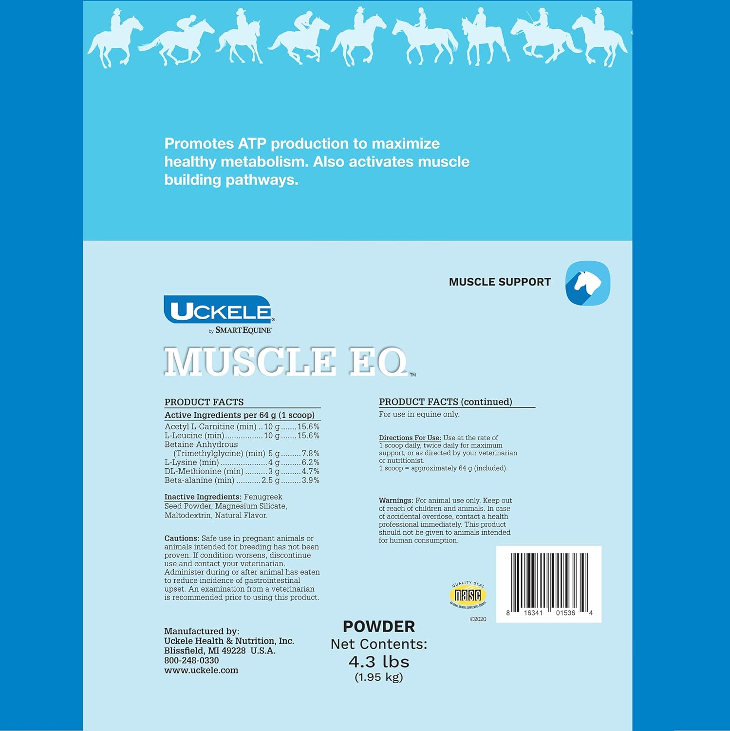 SmartEquine Muscle EQ™ Powder with L-Carnitine & Beta-Alanine for Horses | Supports Muscle Function & Recovery | 4.3 lb Bag