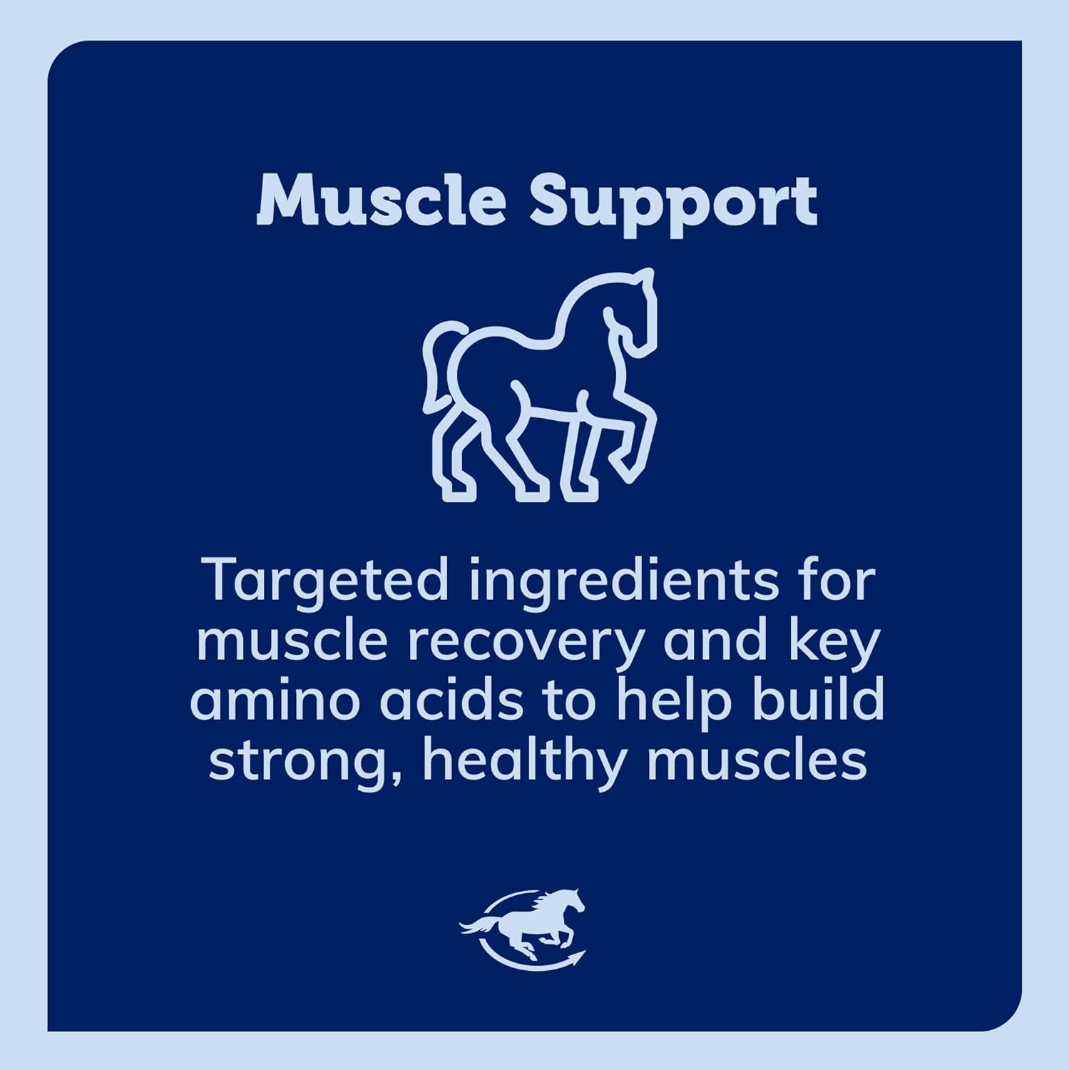 SmartEquine Muscle EQ™ Powder with L-Carnitine & Beta-Alanine for Horses | Supports Muscle Function & Recovery | 4.3 lb Bag