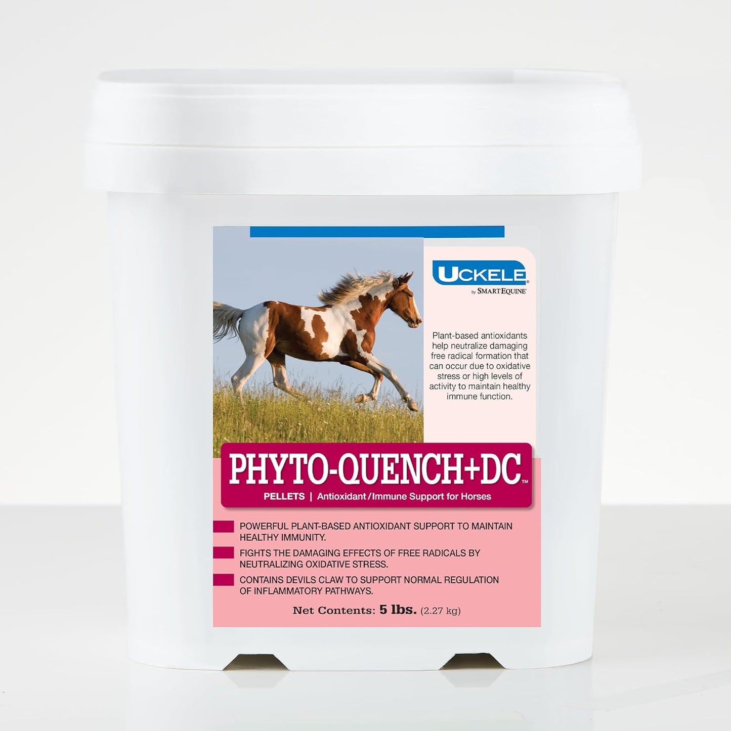 SmartEquine Phyto-Quench + DC™ Pellets 5 lb Bucket | Horse Immune Support with Vitamin E and Antioxidants