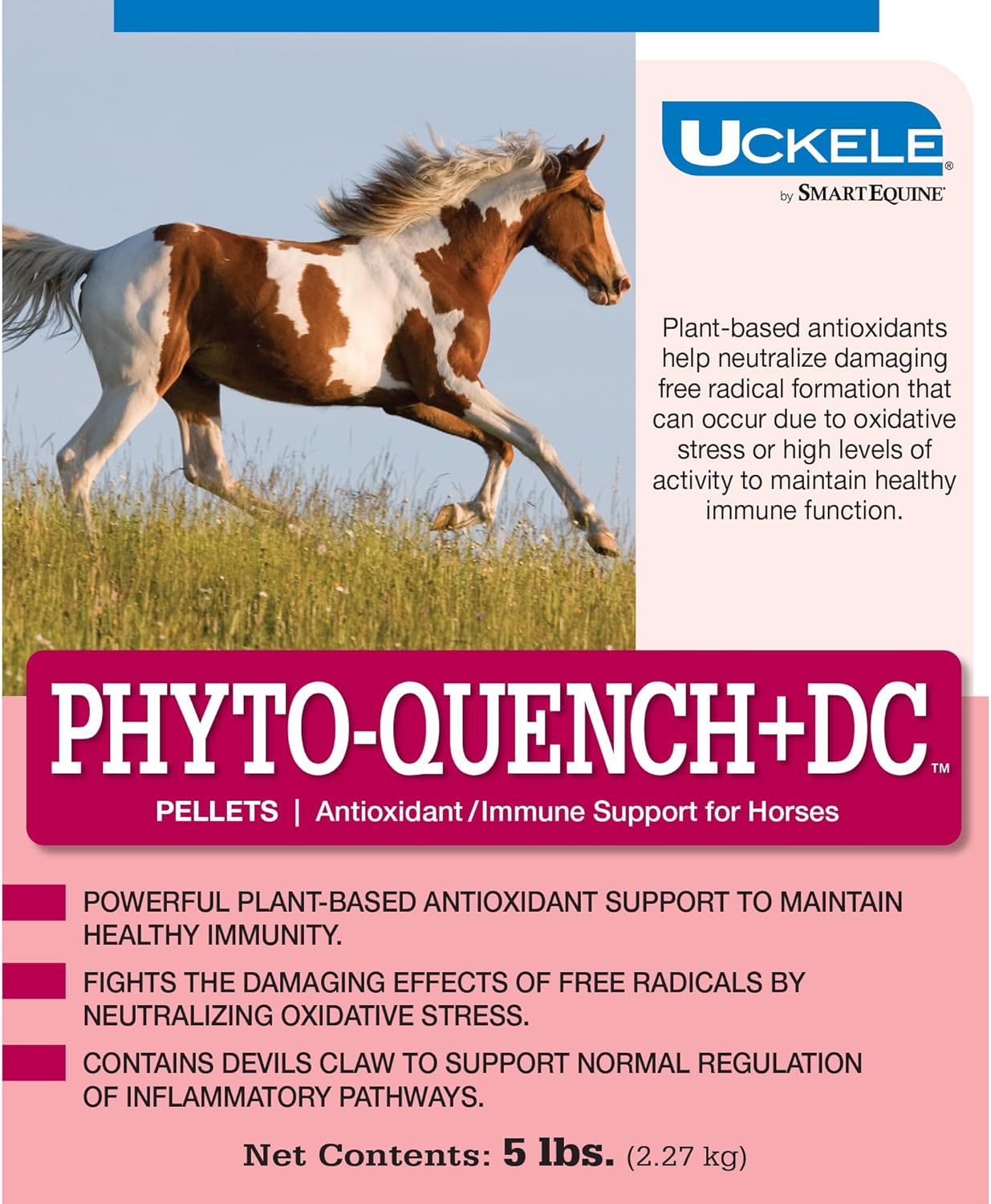 SmartEquine Phyto-Quench + DC™ Pellets 5 lb Bucket | Horse Immune Support with Vitamin E and Antioxidants