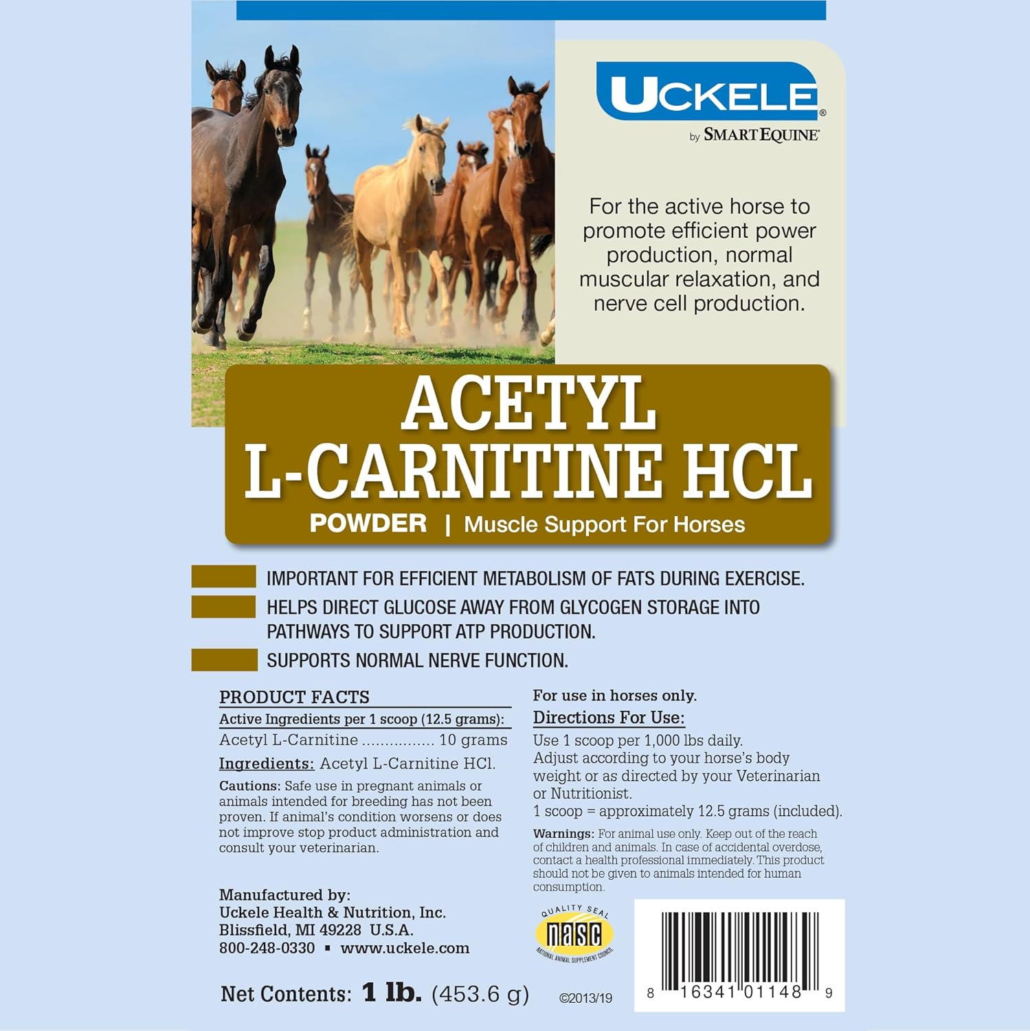 SmartEquine Uckele Acetyl L-Carnitine HCL Powder for Horses - Energy & Muscle Supplement, 1 lb Bag