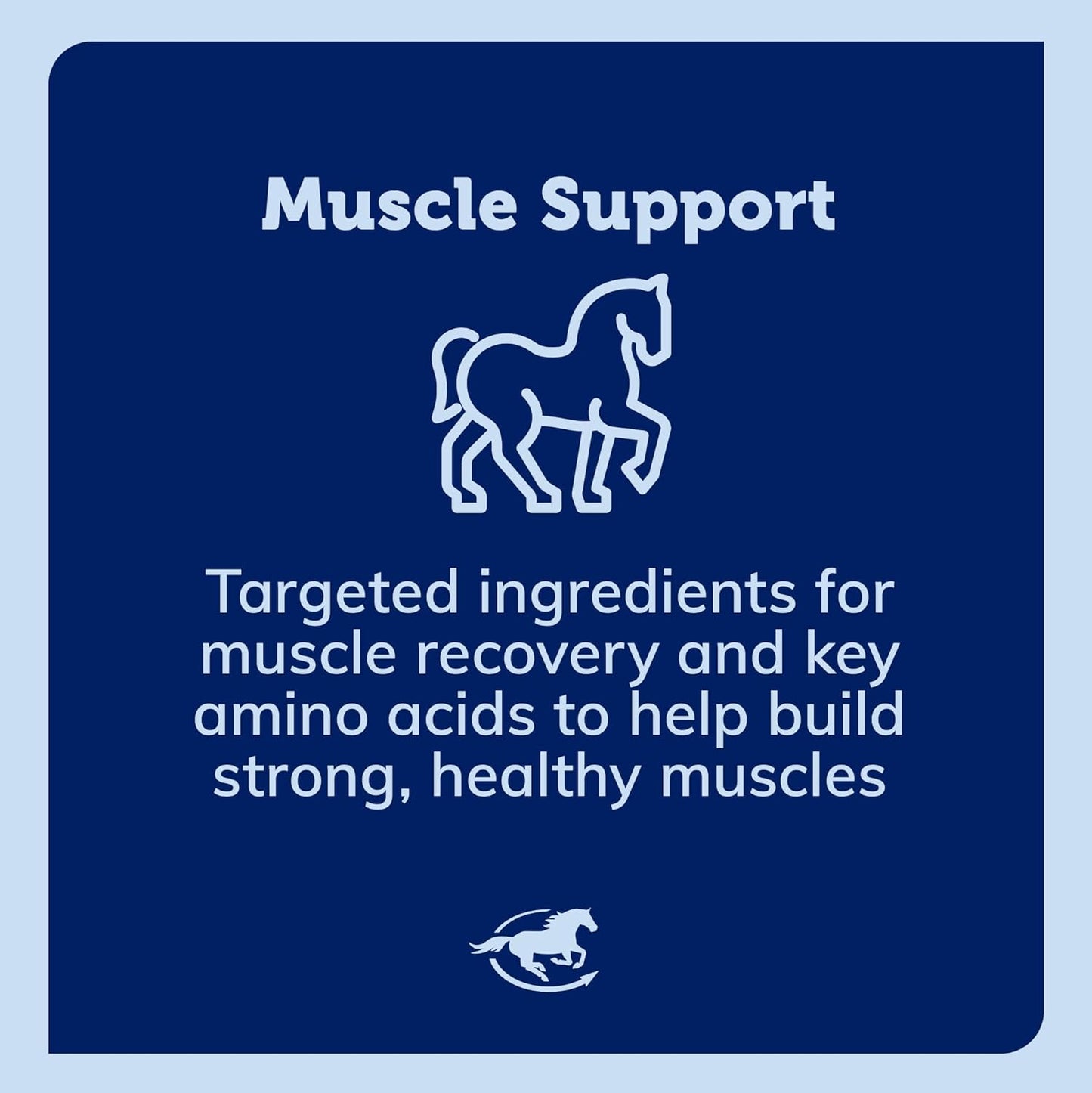 SmartEquine Uckele Acetyl L-Carnitine HCL Powder for Horses - Energy & Muscle Supplement, 1 lb Bag