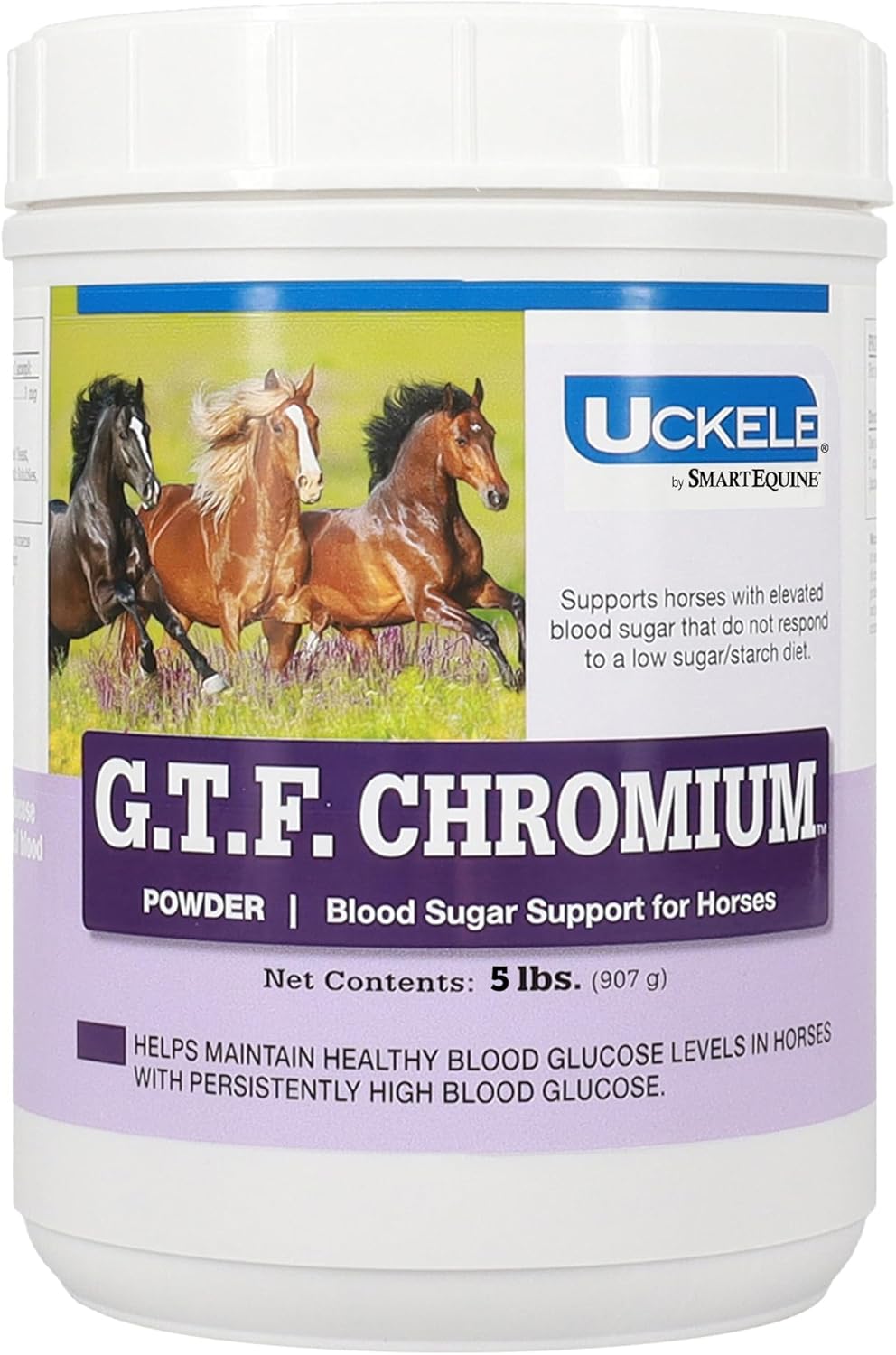 SmartEquine Uckele GTF Chromium® Powder for Horses | Metabolic Supplement, Supports Metabolic Function | 5 lb Bucket