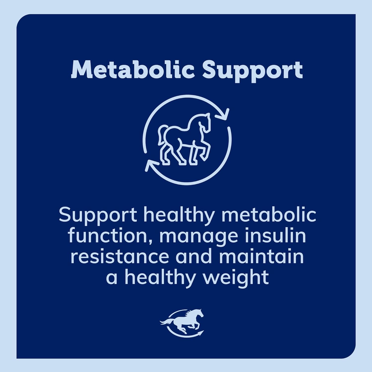 SmartEquine Uckele GTF Chromium® Powder for Horses | Metabolic Supplement, Supports Metabolic Function | 5 lb Bucket