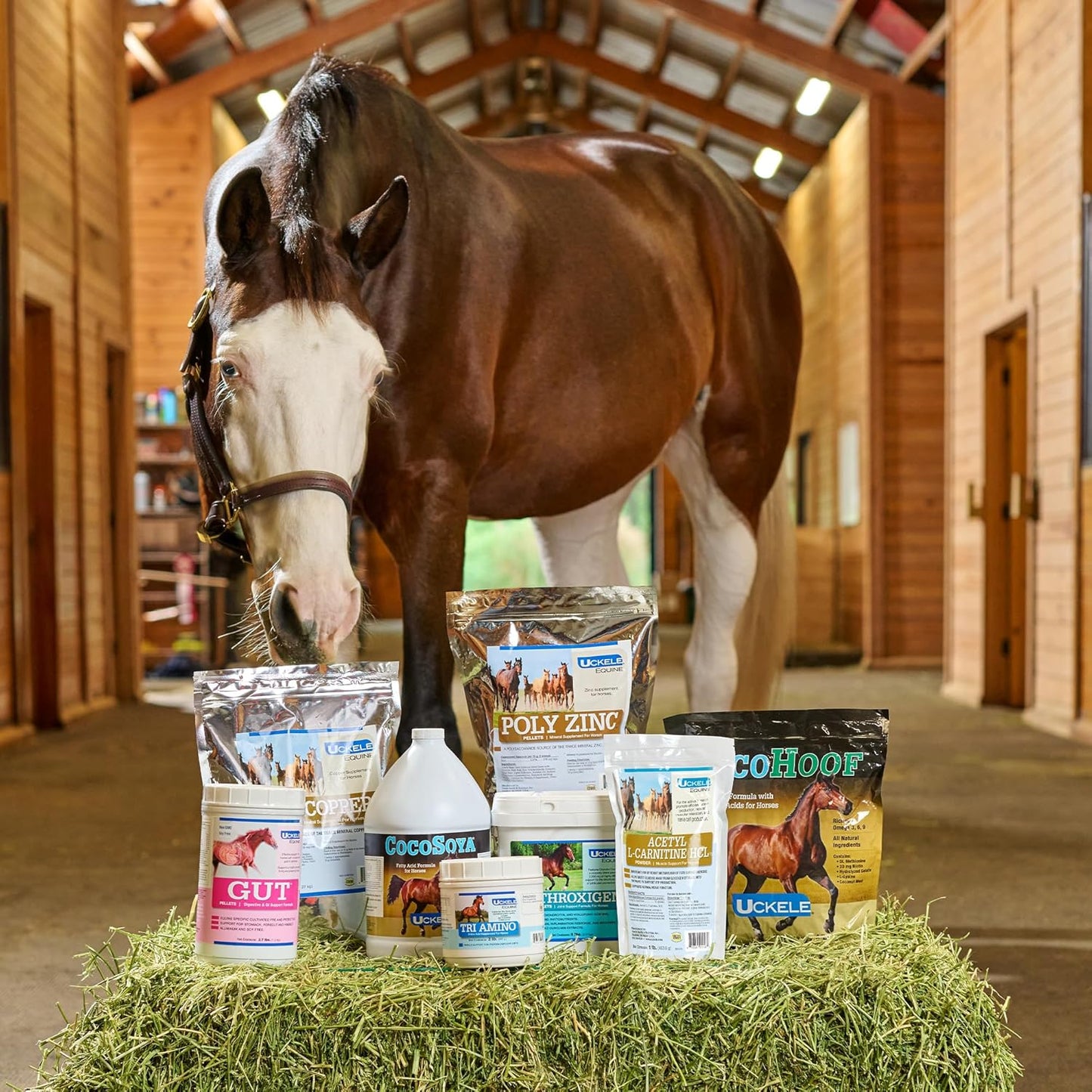 SmartEquine Uckele Poly Zinc Pellets: Hoof Care & Bone Wellness for Horses - 10 lb.