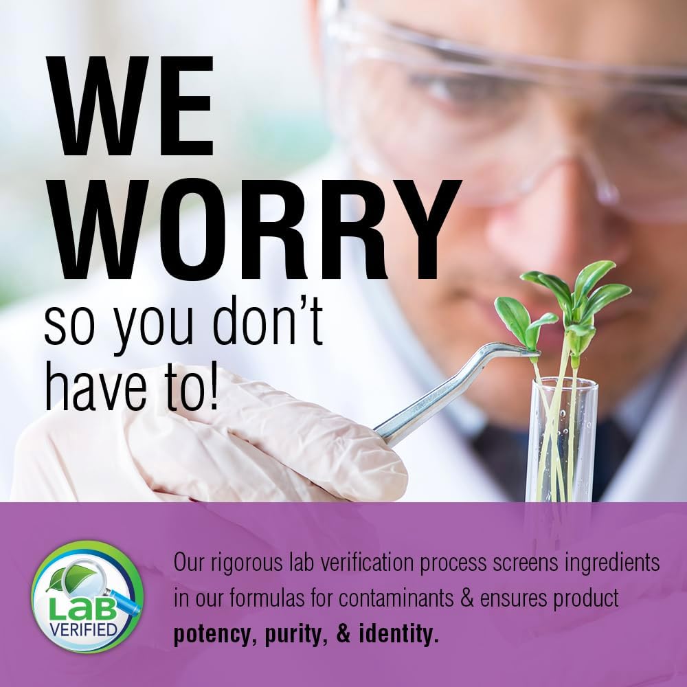 Solaray Artichoke Leaf Extract 600mg | Potent Liver & Gall Bladder Support | Digestive Health | 60 VegCaps | Lab Verified