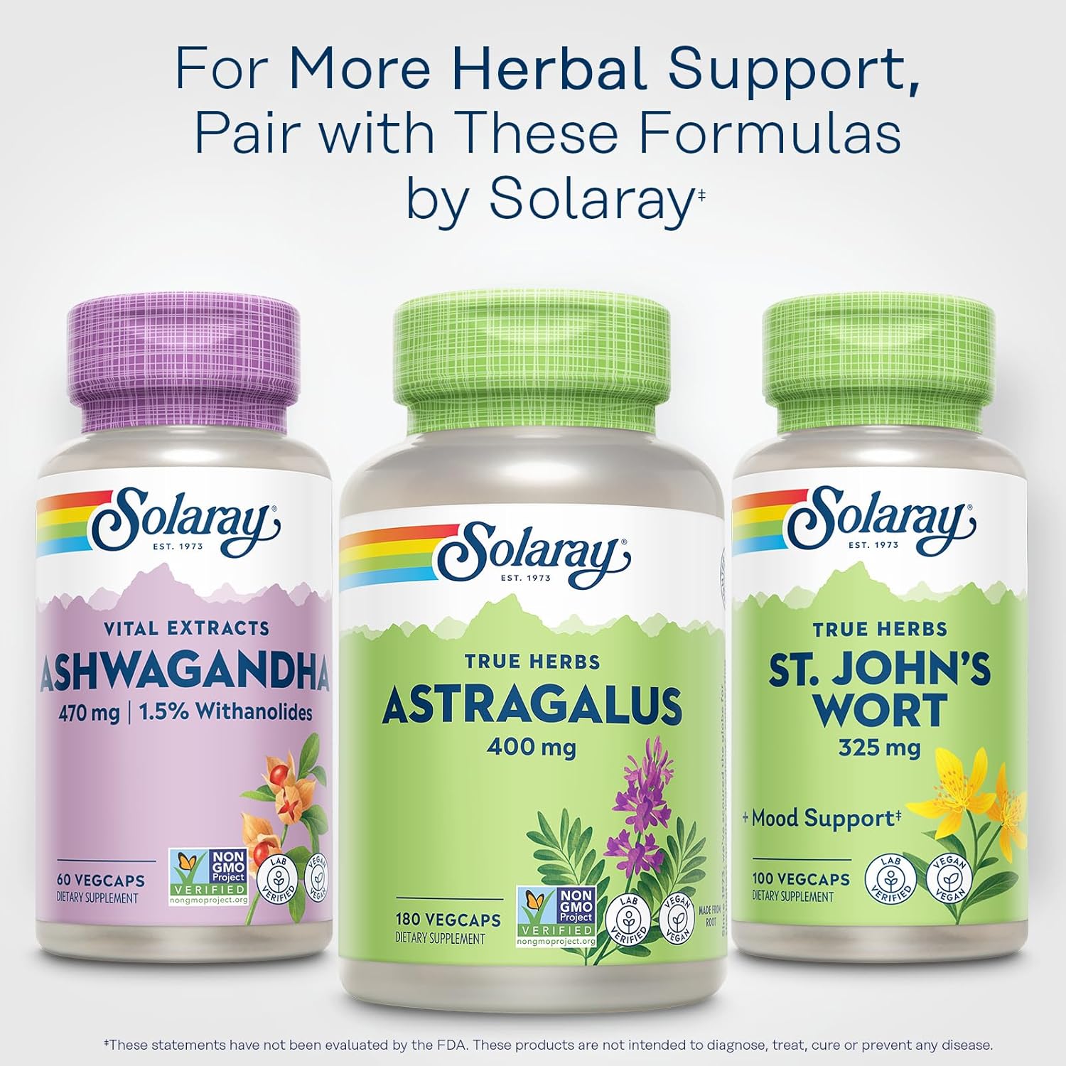 Solaray Astragalus Root 400mg Capsules - Herbal Immune Support Supplement - Non-GMO, Vegan and Lab Tested - 180 Servings