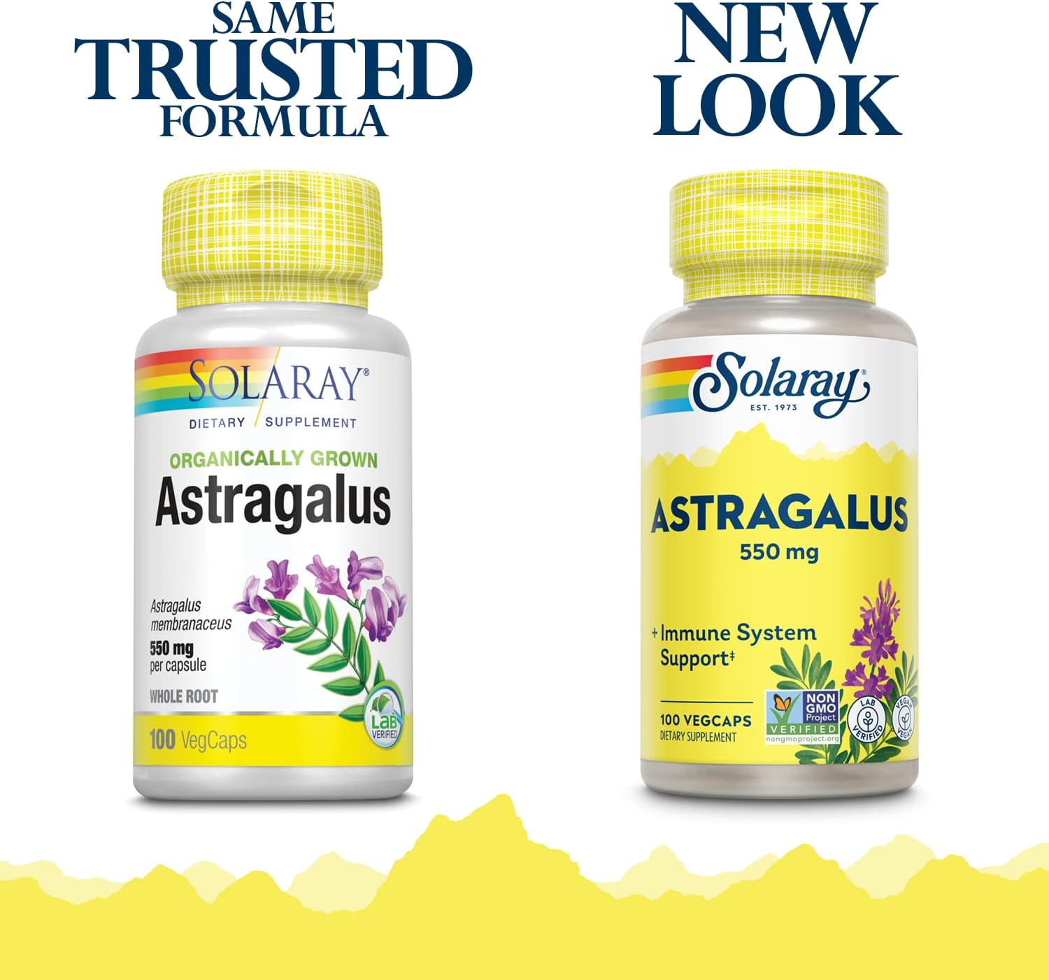 Solaray Astragalus Root Capsules - 550mg for Immune Support, Stress Relief - Vegan & Non-GMO - 100 VegCaps