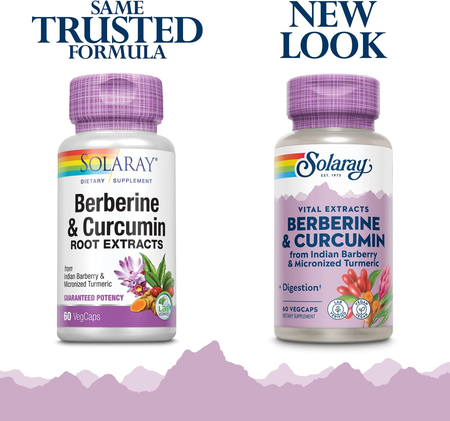 Solaray Berberine & Curcumin Root Extracts for Digestive & Cardiovascular Health | Lab Verified, 60-Day Guarantee - 60 VegCaps