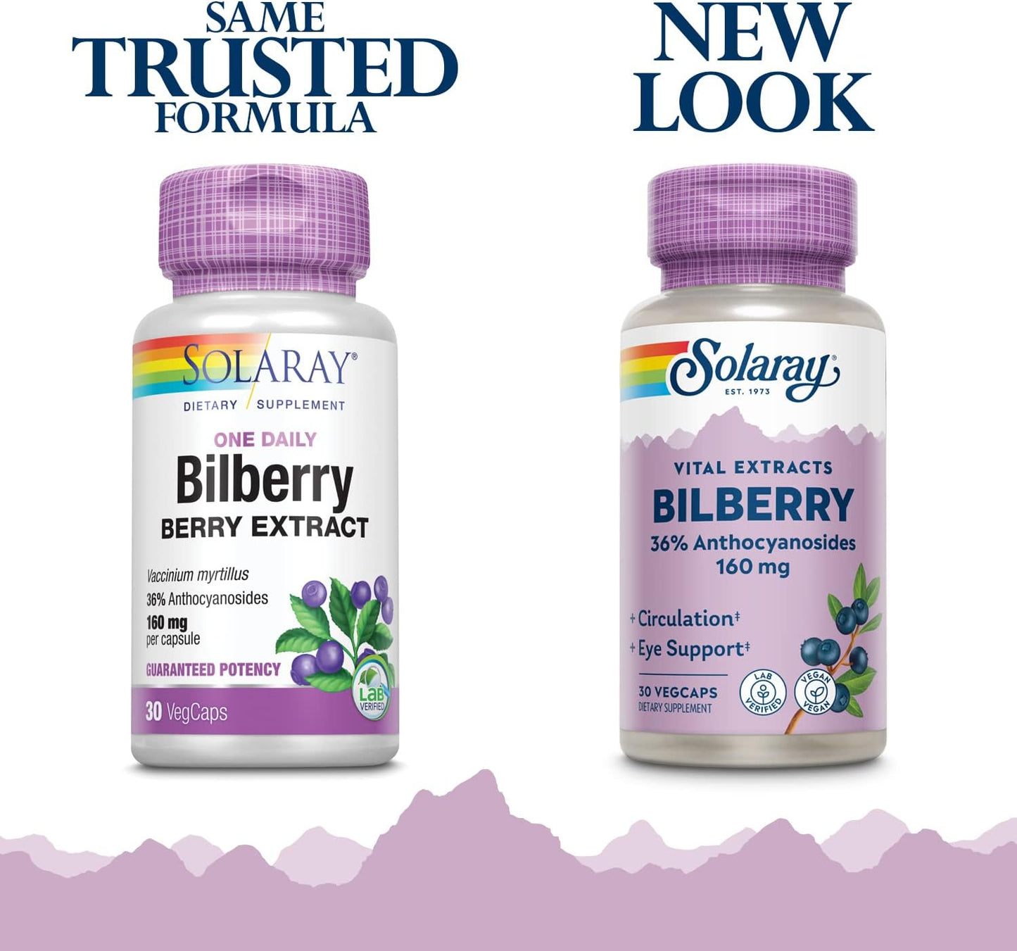 Solaray Bilberry Extract 160mg Capsules - Eye Health & Circulation Support with 36% Anthocyanosides and Blueberry - Vegan - 30 Count