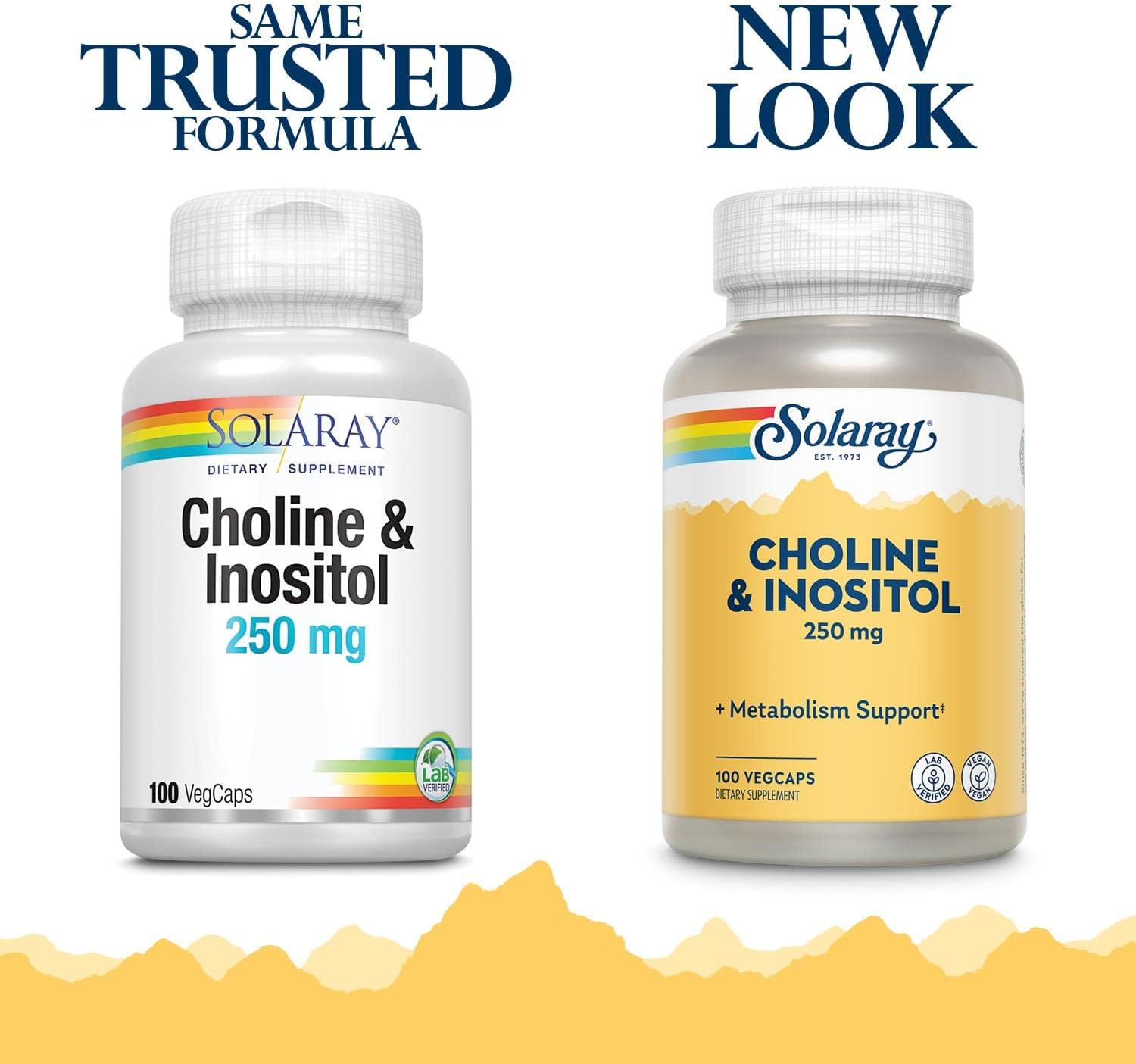 SOLARAY Choline & Inositol 250 mg VegCaps - Supports Healthy Fat Metabolism & Brain Function - 200 Capsules Total