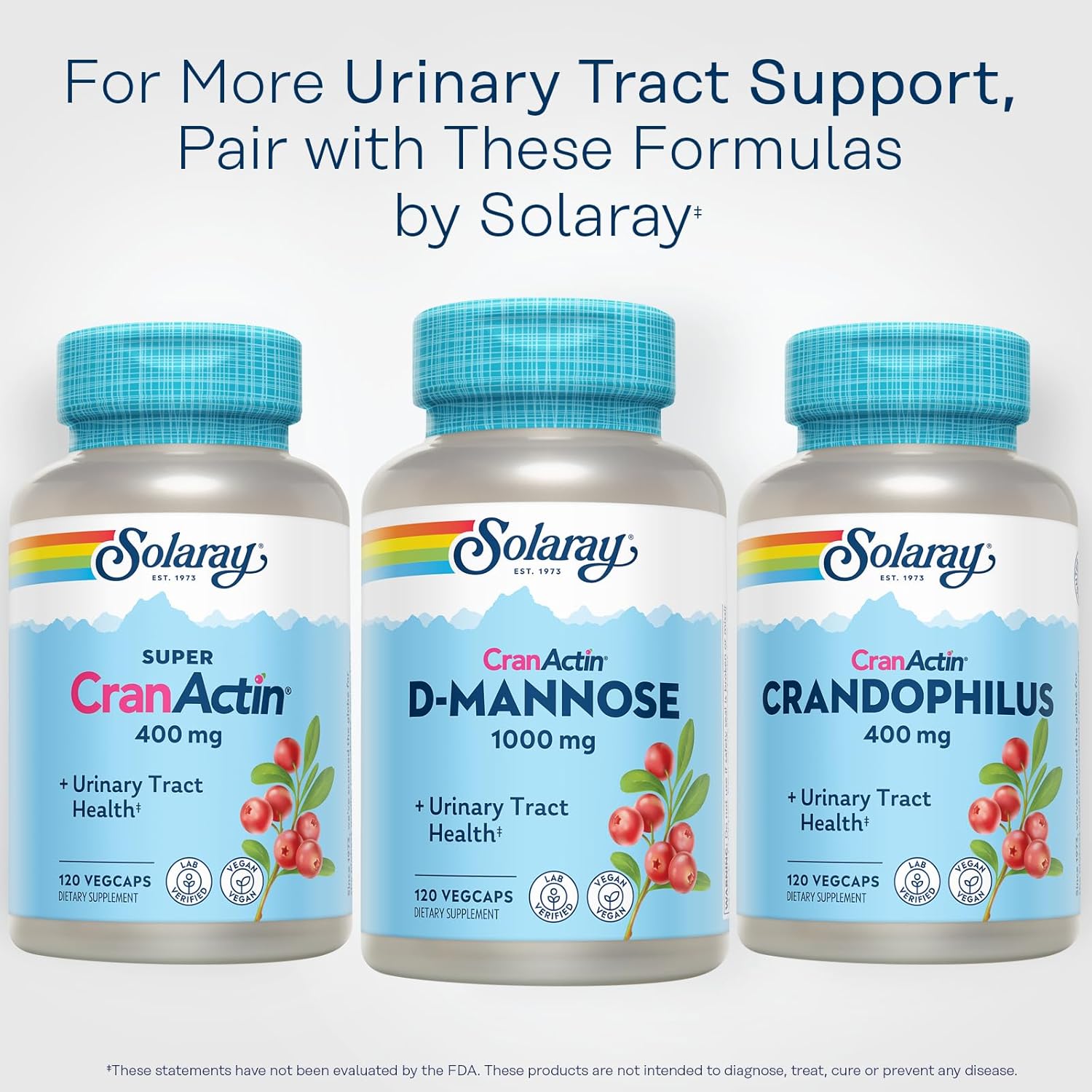 Solaray D-Mannose 1000mg with Cranberry Extract - Urinary Tract & Bladder Health Support - Vegan, 60 Day Guarantee - 120 VegCaps