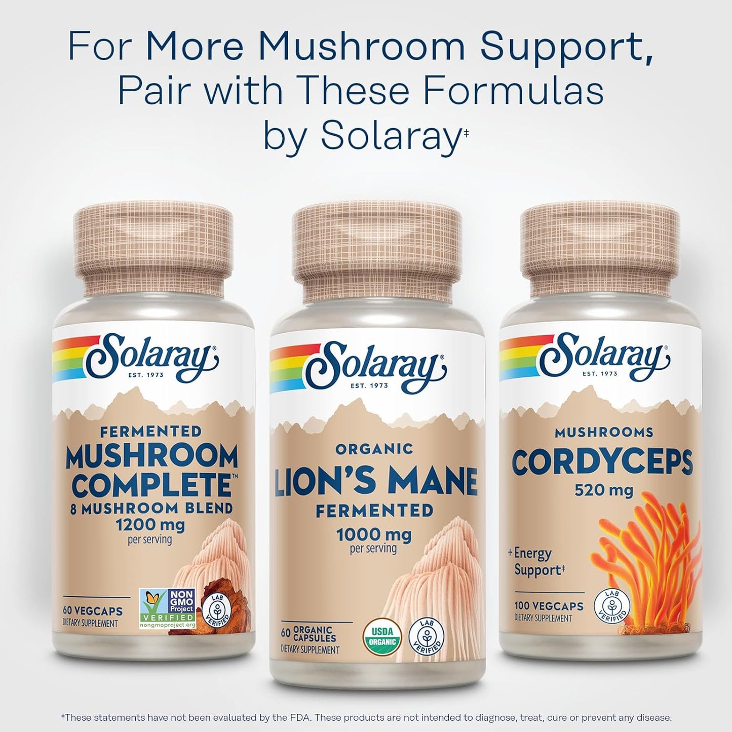Solaray Fermented Lions Mane Mushroom Capsules - Promotes Healthy Brain Function, Mental Focus, and Immune Support - 60 Vegcaps, 30 Servings