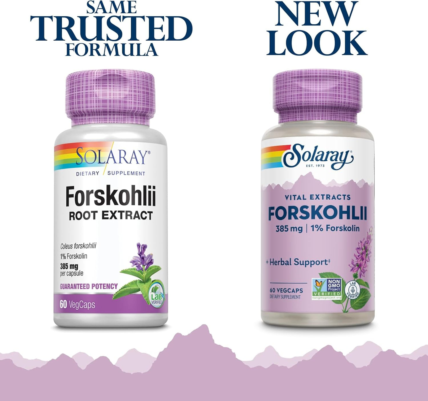 Solaray Forskohlii Supplement - 385mg, 60 Capsules for Weight Management & Metabolism Boost
