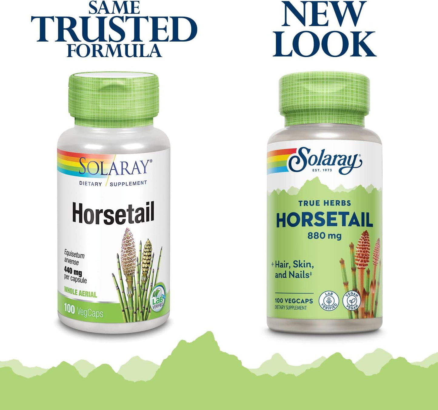Solaray Horsetail 880mg Silica Supplement for Hair, Skin, Nails & Joints - 100 VegCaps x2 - 50 Servings
