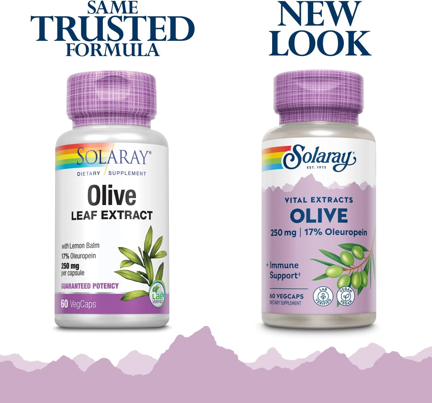 Solaray Olive Leaf Extract Capsules - 250mg | 60 Count - Immune Support Supplement