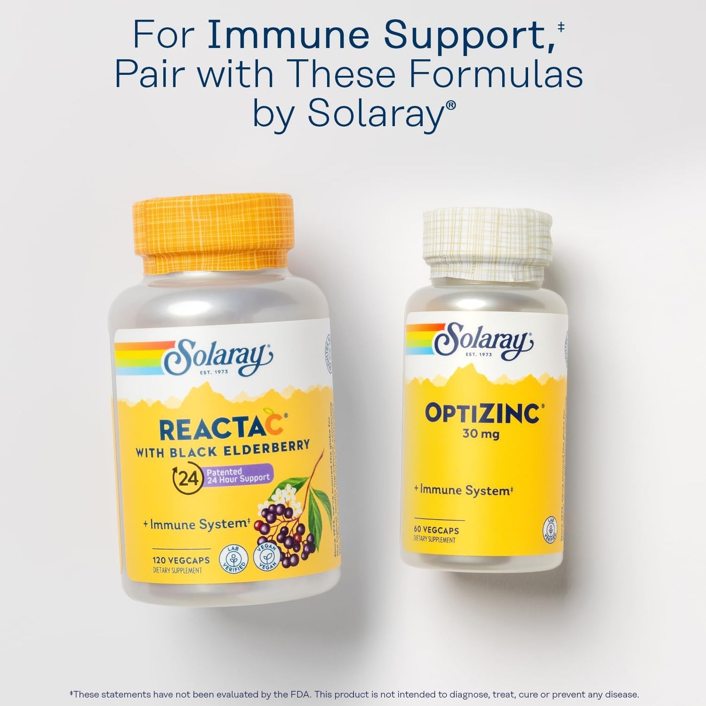 SOLARAY Reishi Mushroom Capsules - 600mg Immune Support Supplement for Vegans - Lab Verified, 100 Servings, 60-Day Guarantee