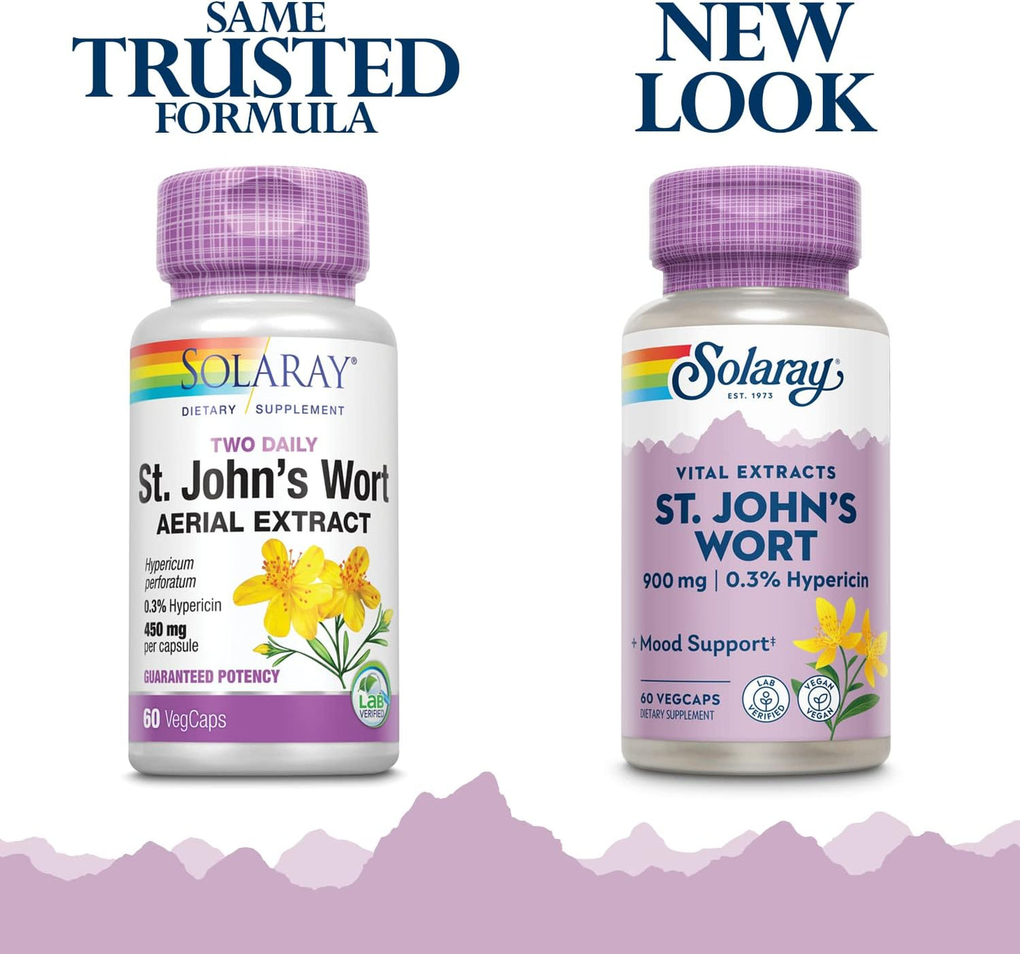 Solaray St. Johns Wort Extract Capsules 450mg | Mood & Brain Health Support | 0.3% Hypericin | 60 Count