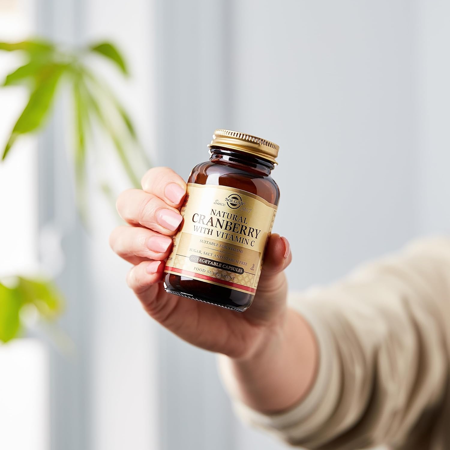 Solgar Cranberry with Vitamin C Capsules - 60 Veggie Caps - Promotes Urinary & Bladder Health - Non-GMO, Vegan, Gluten-Free - 60 Servings