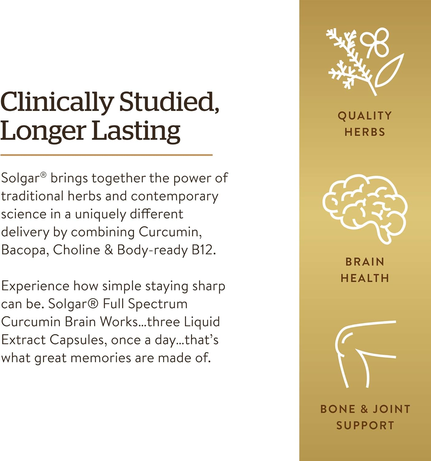 Solgar Full Spectrum Curcumin Brain Support Capsules - Memory, Focus, Cognitive Function - Antioxidant Blend with BacoMind, Choline, Vitamin B12 - Non-GMO, Vegan - 180 Licaps