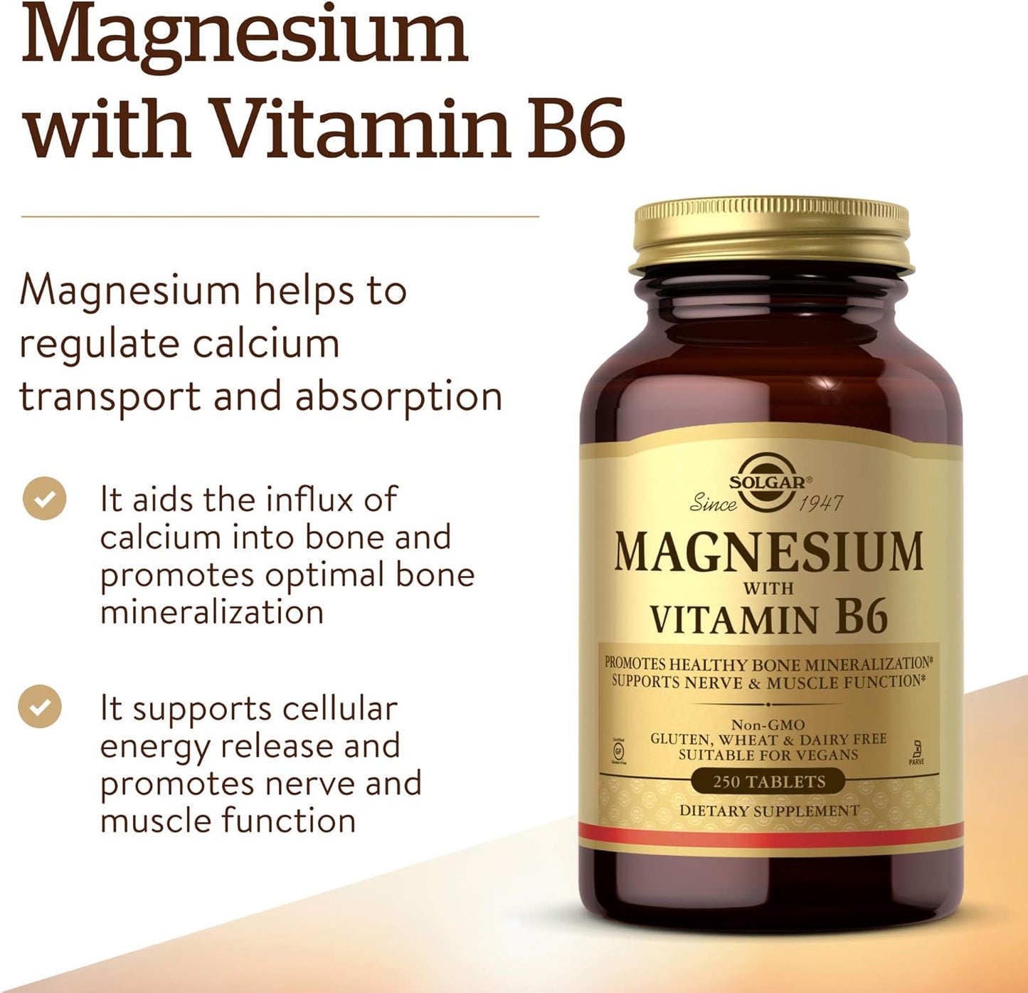 Solgar Magnesium with Vitamin B6 Tablets - Supports Bone Health, Nerve & Muscle Function, Energy Metabolism - Non-GMO, Vegan, Gluten Free, Dairy Free - 83 Servings