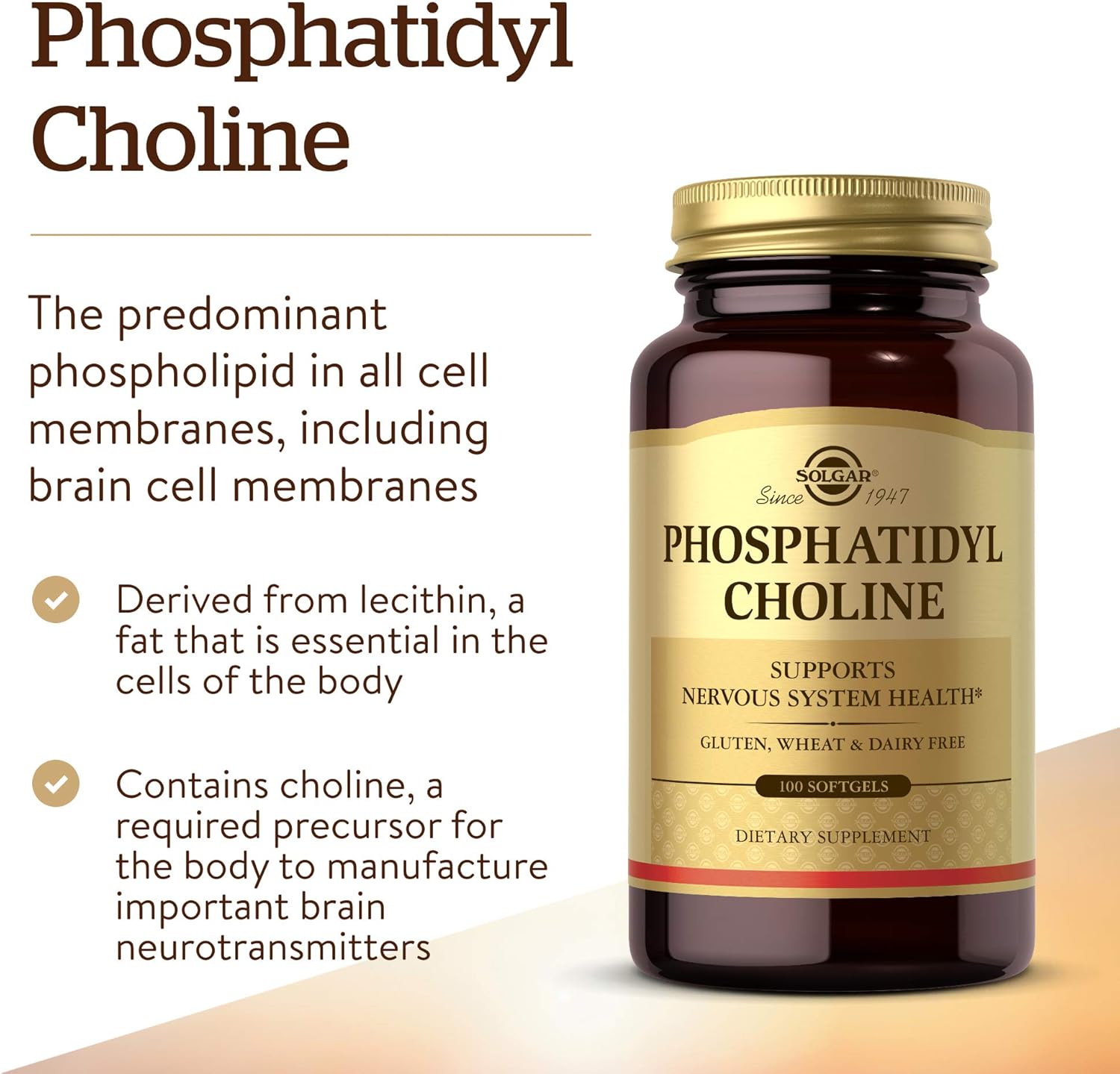 Solgar Phosphatidylcholine Softgels - Supports Cognitive Health with Choline - Gluten & Dairy Free - 100 Softgels