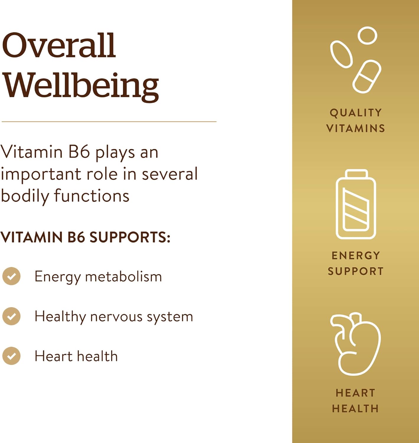 Solgar Vitamin B6 25 mg Tablets - Energy Metabolism & Heart Health Support - B Complex Supplement for Healthy Nervous System - Vegan, Gluten Free, Dairy Free - 100 Servings