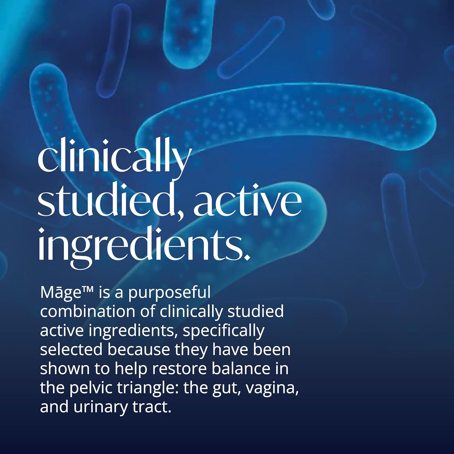 Solv Wellness Māge Probiotic for Women: Daily Digestive & Vaginal Health Support - 30 Capsules