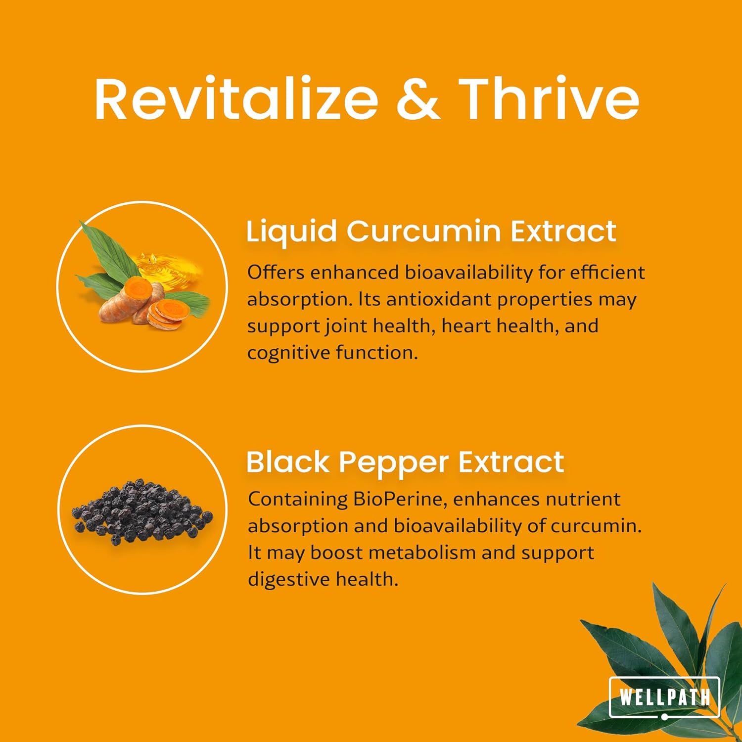 Soothe Thyroid Support & Hormone Balance Bundle + Vital Liquid Curcumin Drops