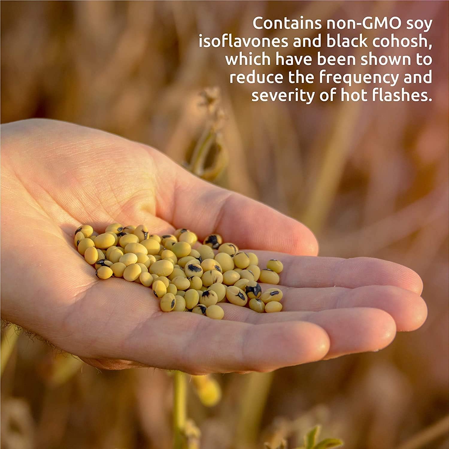 Source Naturals Hot Flash Tablets - Reduces Menopausal Hot Flashes, Non-GMO Soy - 180 Tablets