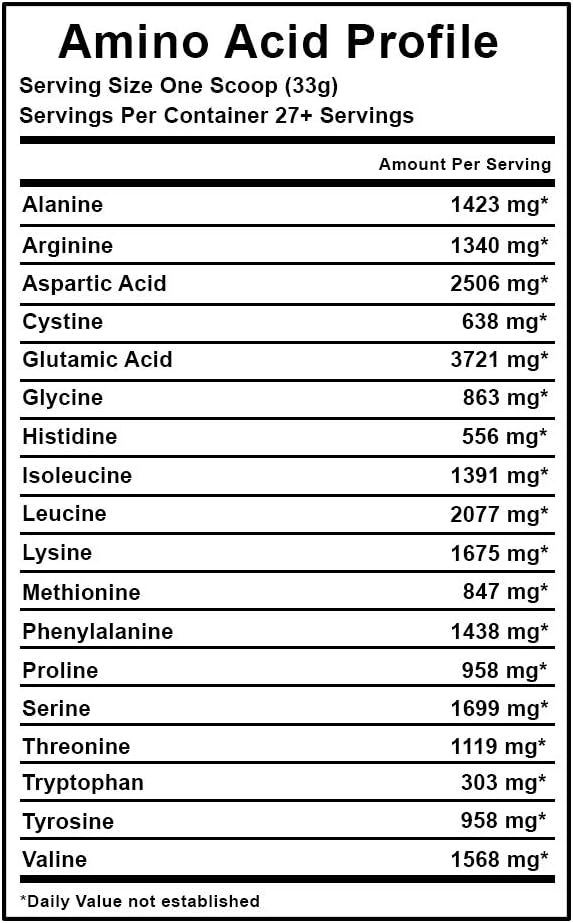 Source Nutrition TradeKing 1 lb Dairy Free Egg White Protein Powder - 25g Protein, Build Lean Muscle, Milk Chocolate Flavor
