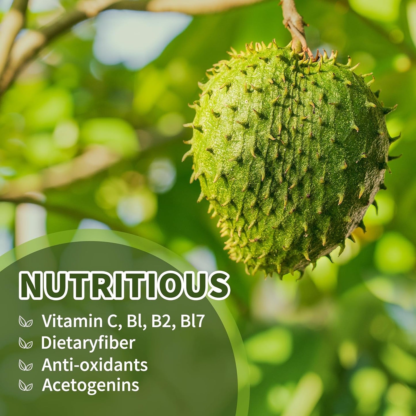 Soursop Graviola Liquid Drops 2000mg (2 Pack), High Absorption Cell Support & Regeneration, Immune Boost - Liver Health, Herbal Goodness - Natural Flavor, Liquid-Sugar/Gluten Free - 4 Fl Oz