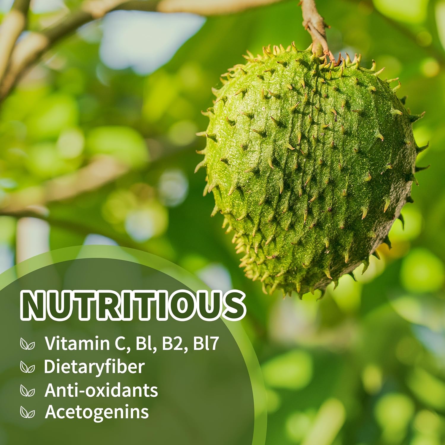 Soursop Graviola Liquid Drops 2000mg (2 Pack), High Absorption Cell Support & Regeneration, Immune Boost - Liver Health, Herbal Goodness - Natural Flavor, Liquid-Sugar/Gluten Free - 4 Fl Oz