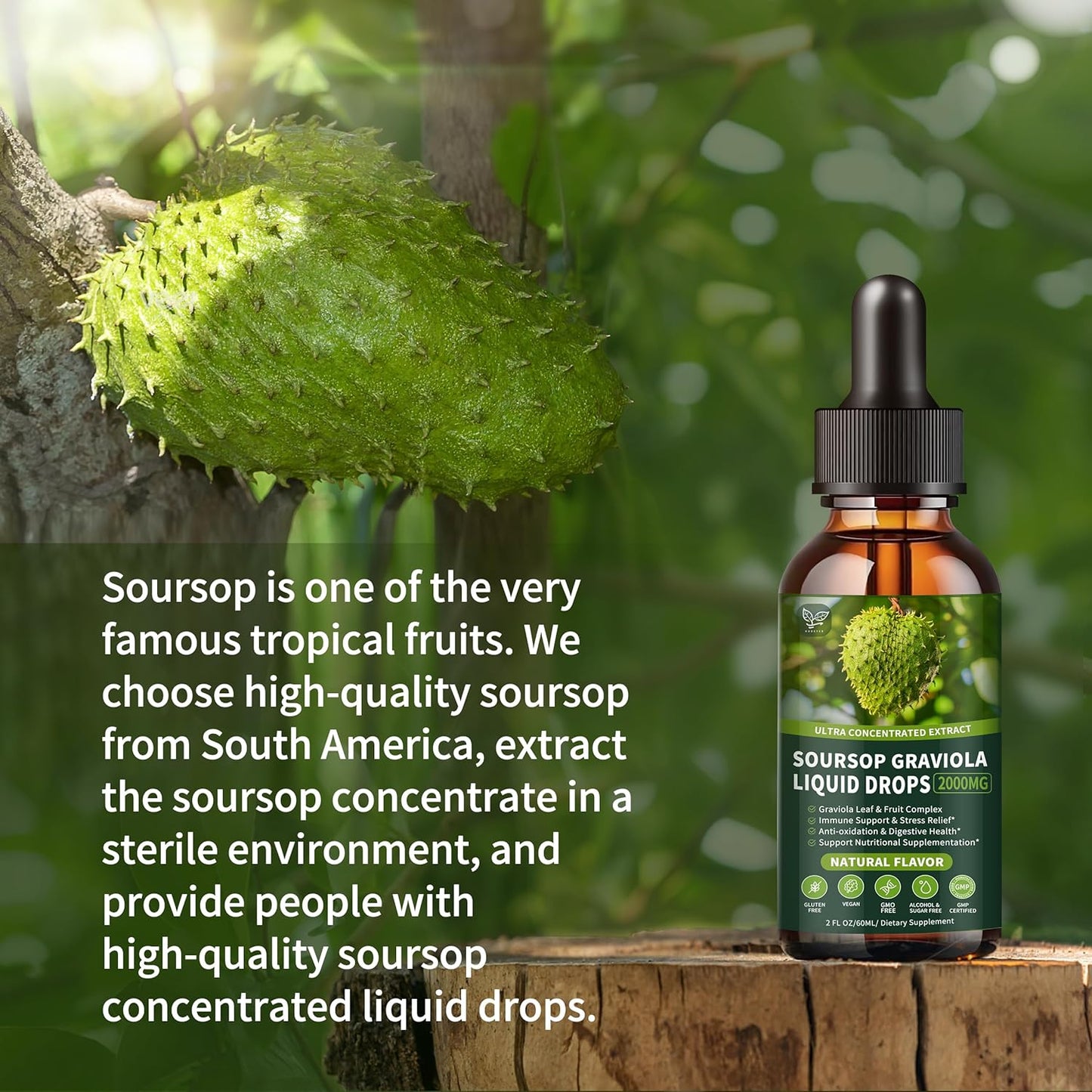 Soursop Graviola Liquid Drops 2000mg (2 Pack), High Absorption Cell Support & Regeneration, Immune Boost - Liver Health, Herbal Goodness - Natural Flavor, Liquid-Sugar/Gluten Free - 4 Fl Oz
