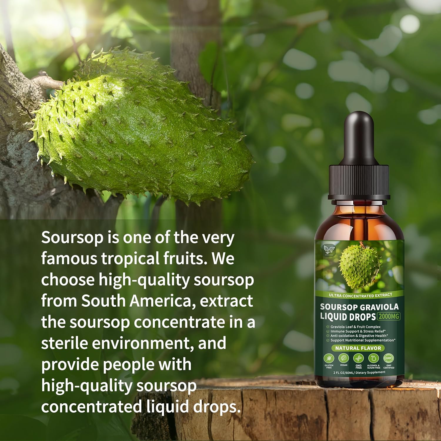 Soursop Graviola Liquid Drops 2000mg (2 Pack), High Absorption Cell Support & Regeneration, Immune Boost - Liver Health, Herbal Goodness - Natural Flavor, Liquid-Sugar/Gluten Free - 4 Fl Oz