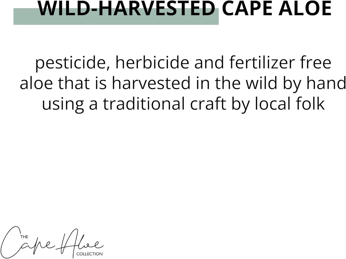 South African Aloe Ferox Digestive Bitter Capsules | Pure Whole Leaf & Bitters | 100% Natural from Africa